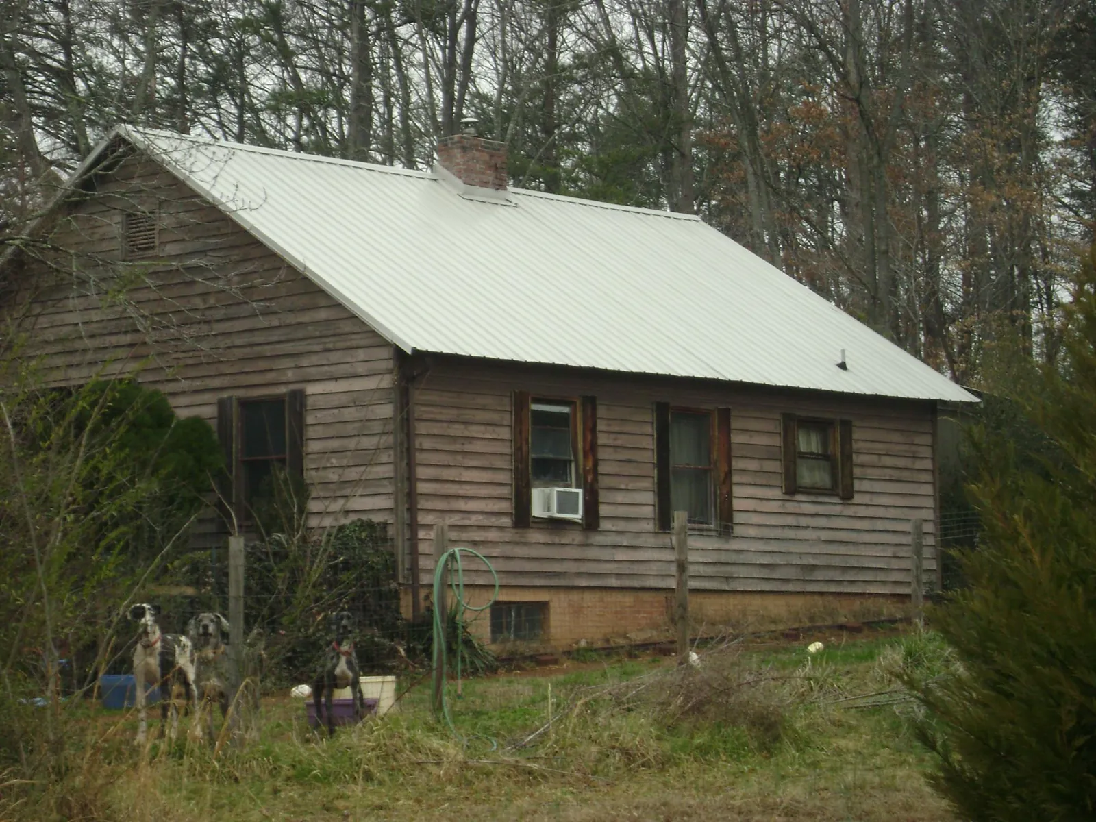 White metal roof on an old wood sided farmhouse, from a Asphalt Shingle Roof Repair job in Higden